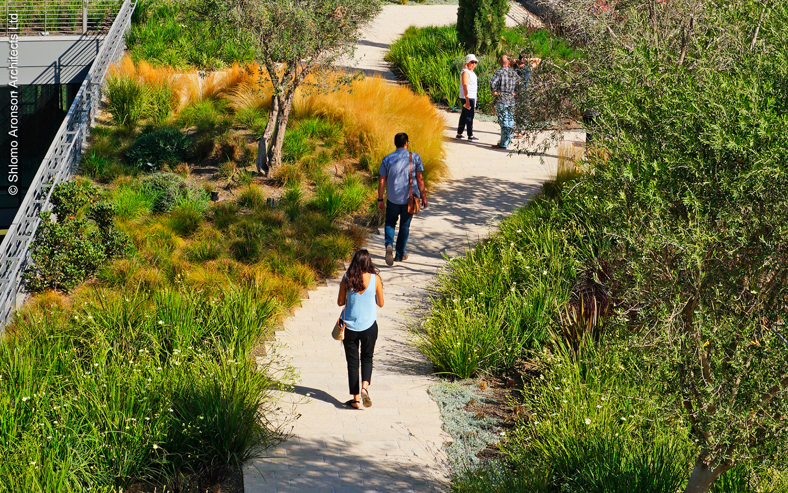 People strolling across a green roof with lush greenery